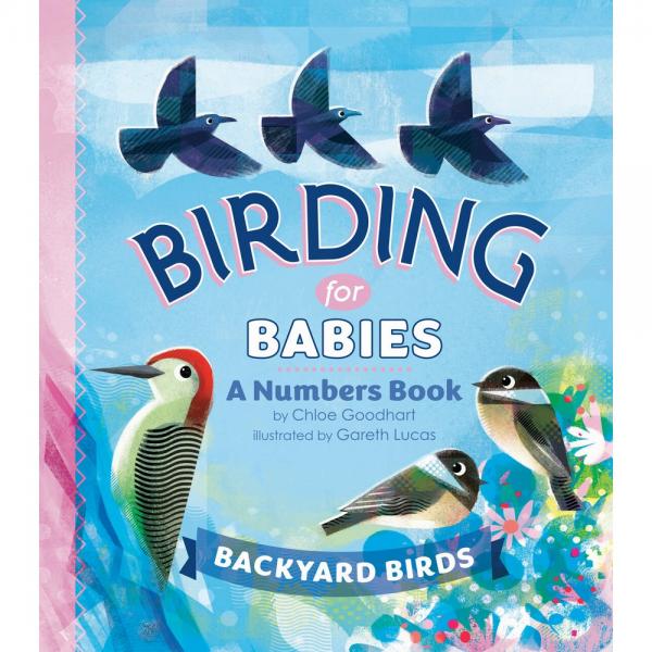 Birding for Babies Backyard Birds