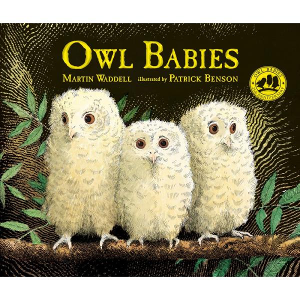 Owl Babies by Martin Waddell Owl Babies by Martin Waddell
