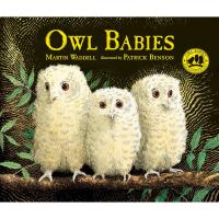 Owl Babies by Martin Waddell-RH9780763617103