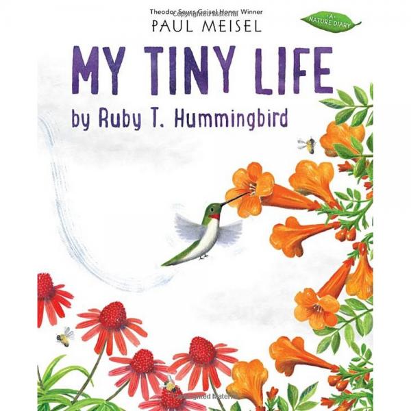 My Tiny Life By Ruby T. Hummingbird