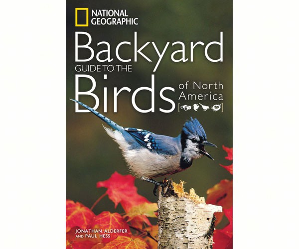 National Geographic Backyard Guide Birds of North America National Geographic Backyard Guide Birds of North America