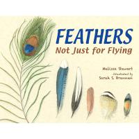 Feathers Not Just for Flying-RH9781580894319