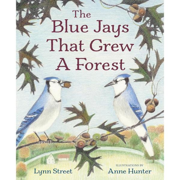 The Blue Jays That Grew a Forest