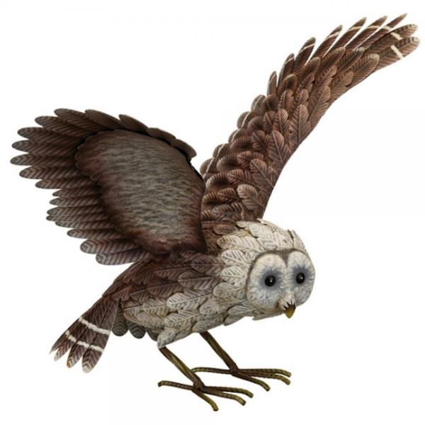 Barn Owl Wings Up
