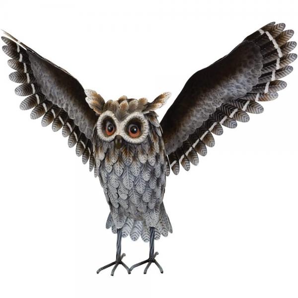 Grey Horned Owl Wings Up