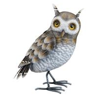 Grey Horned Owl Small-REGAL12989