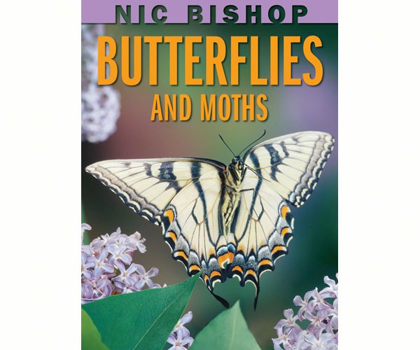 Nic Bishop Butterflies and Moths