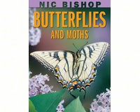 Nic Bishop Butterflies and Moths-SCH877572