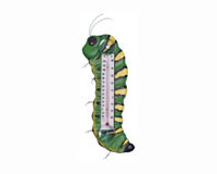 Caterpillar Small Window Thermometer-SE2172515