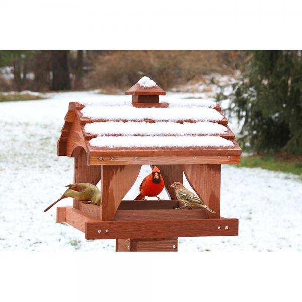 songbird essentials weather feeder