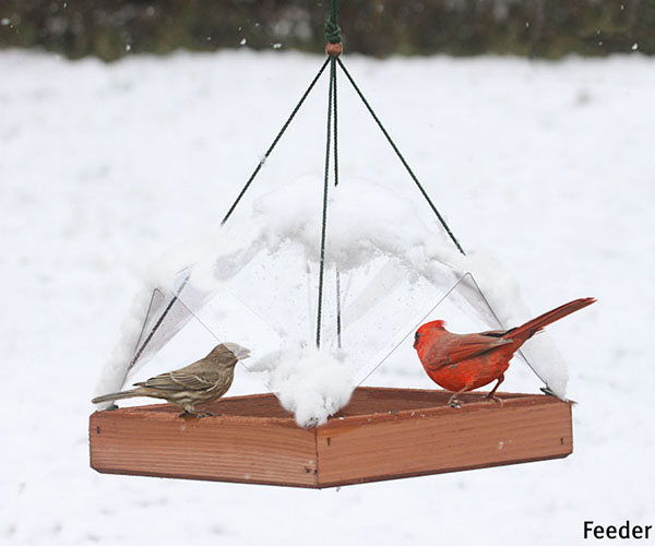 Shop Birdfeeders