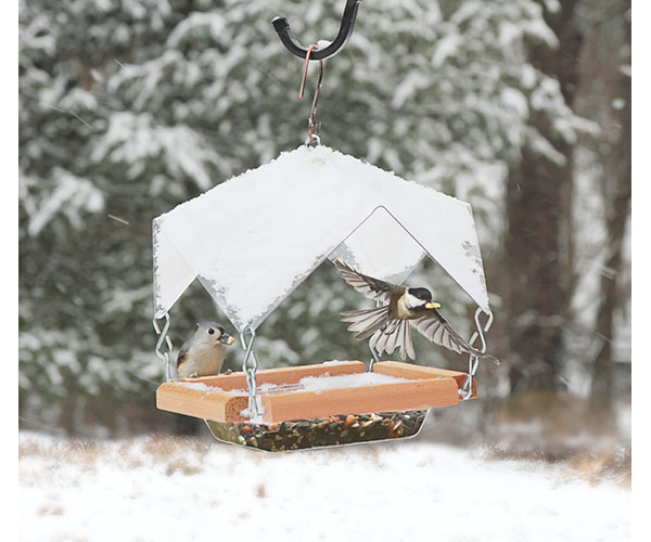 Crystal Clear Feeder with Cover