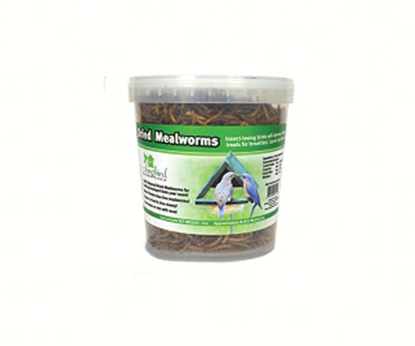7 oz Tub of Dried Mealworms