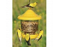 Clingers Only Feeder Yelloww-SE7011