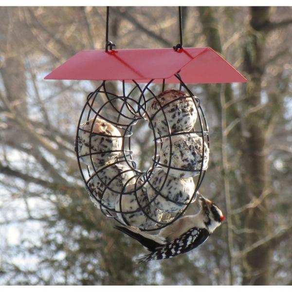 Suet & Seed Ball Feeder Red Roof