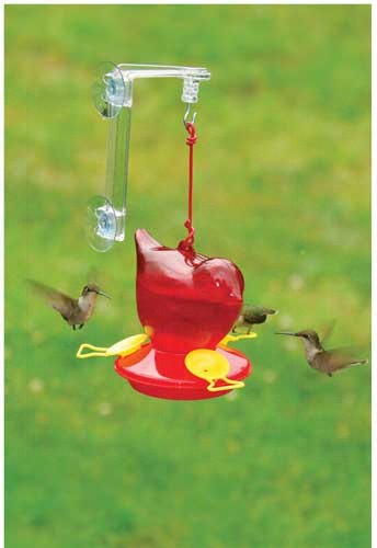 Window Red Bird Hummingbird Feeder