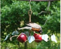 Oriole Fruit Feeder-SEHHORFF