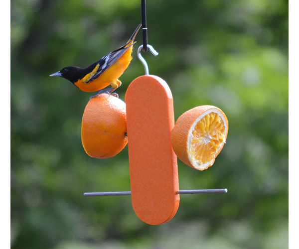 Poly Double Orange Recycled Feeder