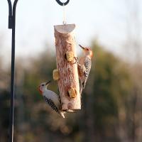 Suet Log without perches-SESCS404