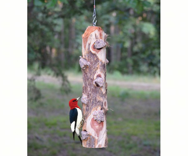 6 Plug Suet Log Without Perches