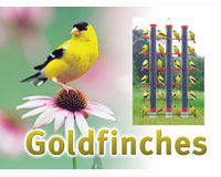 Goldfinch Sign-SESIGNGOLDFINCH