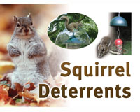 Squirrel Resistant Sign-SESIGNSQRESIST
