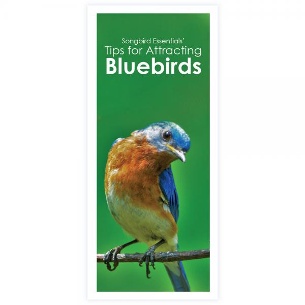 Songbird Essentials' Tips for Attracting Bluebirds Brochure