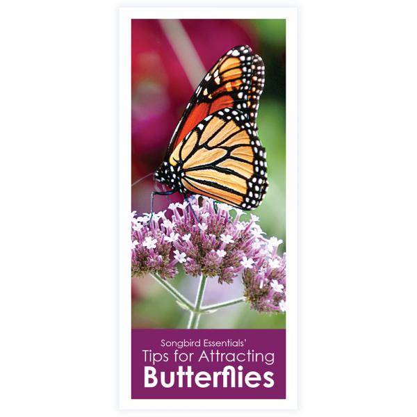 Songbird Essentials' Tips for Attracting Butterflies Brochure