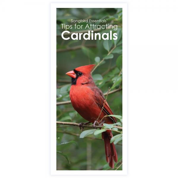 Songbird Essentials' Tips for Attracting Cardinals Brochure
