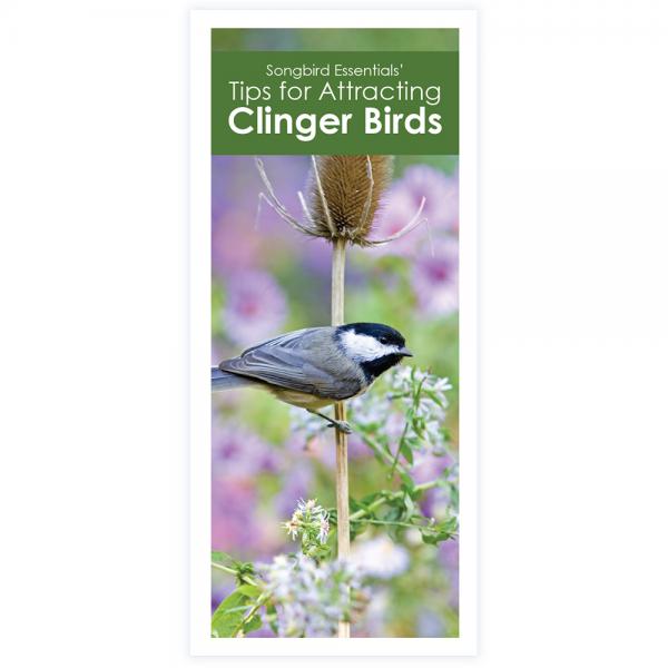 Songbird Essentials' Tips for Attracting Clinging Birds Brochure
