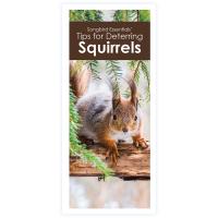 Tips On How To Protect Your Bird Feeders In Your Backyard From Squirrels Brochure-SETIPSDEFEATSQU