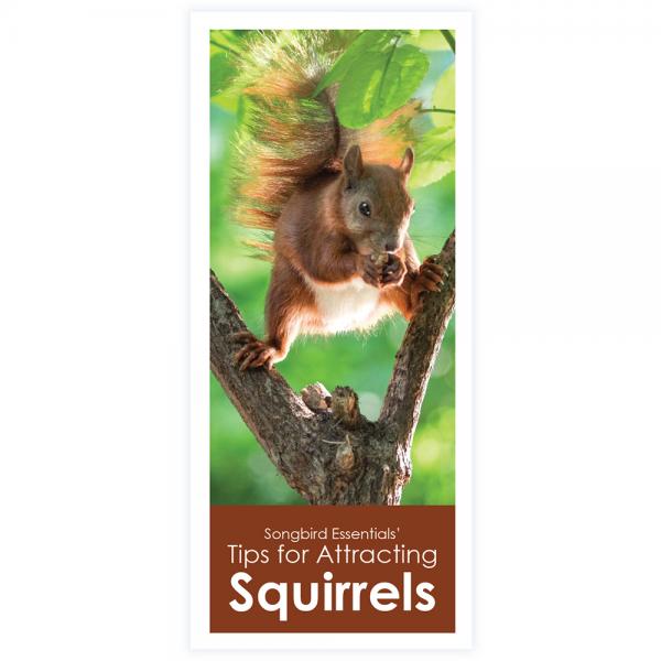 Songbird Essentials' Tips for Attracting Squirrels Brochure