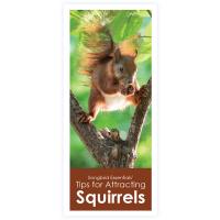 Songbird Essentials' Tips for Attracting Squirrels Brochure-SETIPSENJOYSQU