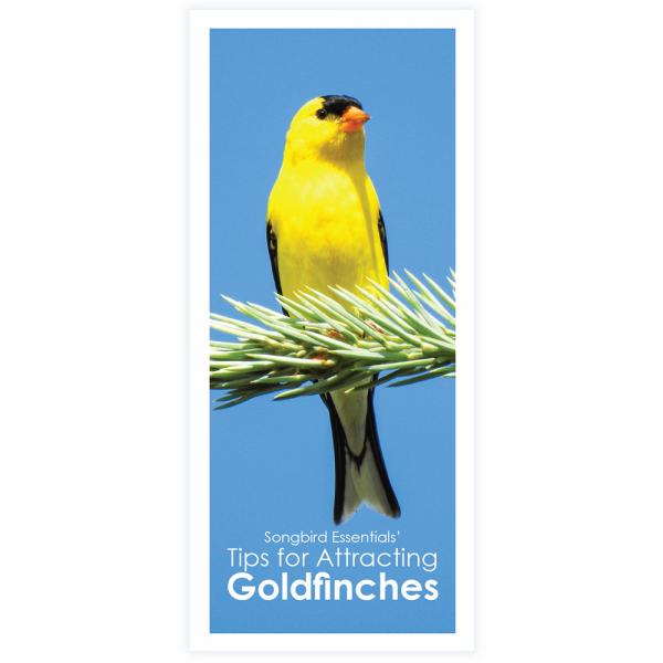 Songbird Essentials' Tips for Attracting Goldfinches Brochure