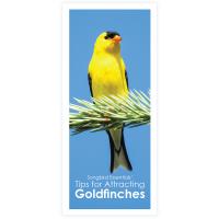 Tips To Attracting Goldfinches To Your Backyard Brochure-SETIPSGOLDFINCH