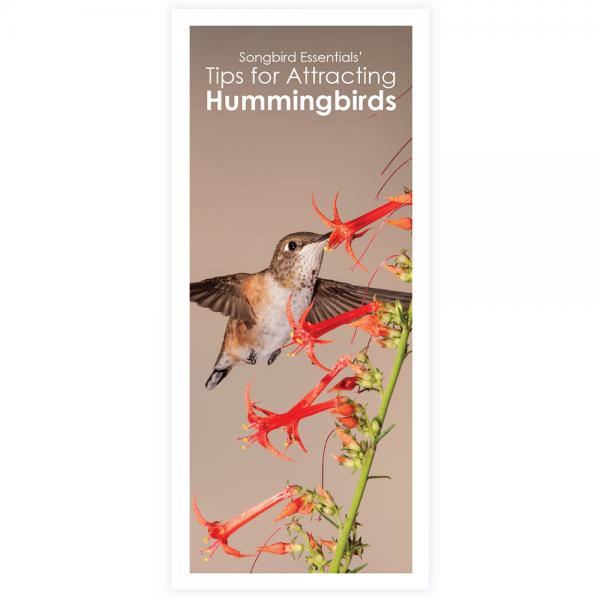 Songbird Essentials' Tips for Attracting Hummingbirds Brochure