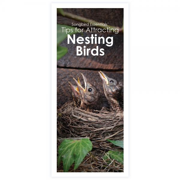Songbird Essentials' Tips for Nesting Birds Brochure