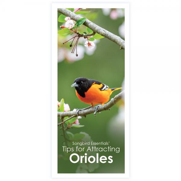 Songbird Essentials' Tips for Attracting Orioles Brochure