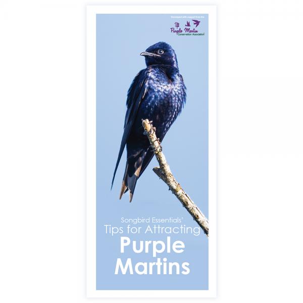 Songbird Essentials' Tips for Attracting Purple Martins Brochure