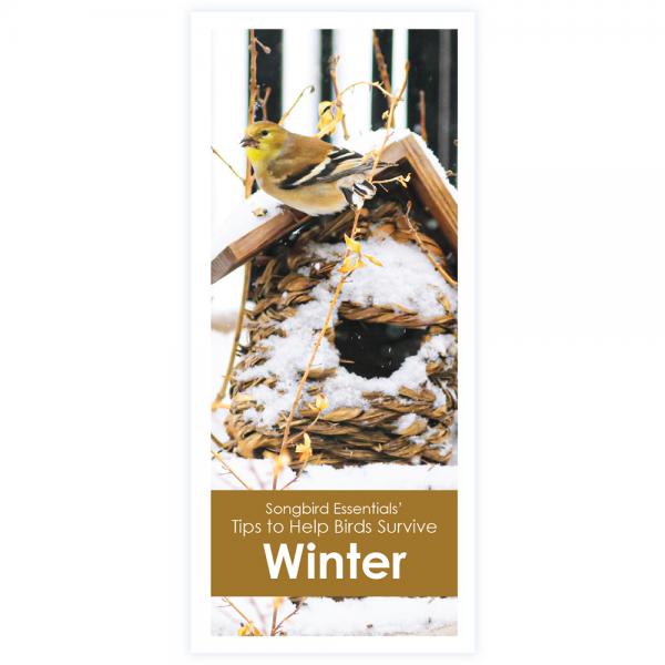 Songbird Essentials' Tips to Help Birds Survive Winter Brochure