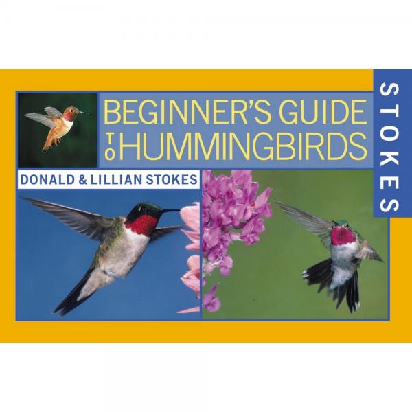 Beginners Guide to Hummingbirds