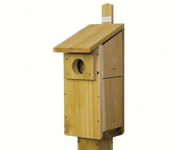 Screech Owl or Kestrel House
