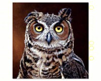 Great Horned Owl Magnet-TFG62523