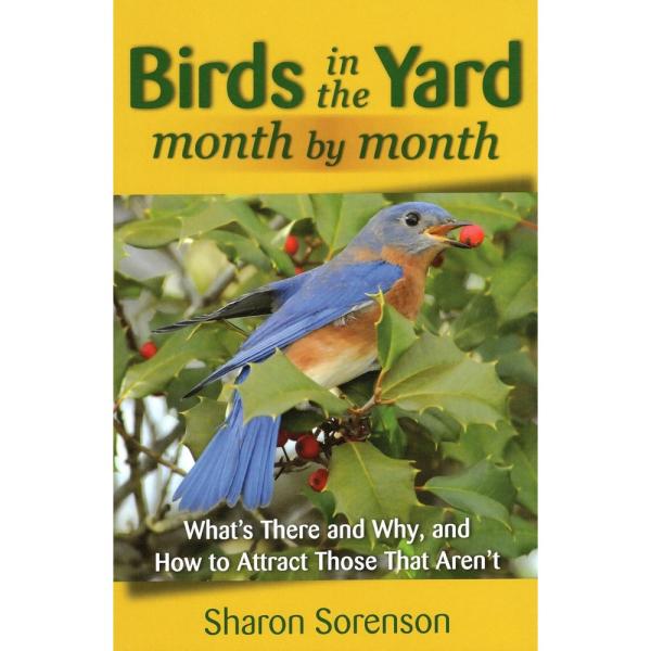 Birds in the Yard Month by Month