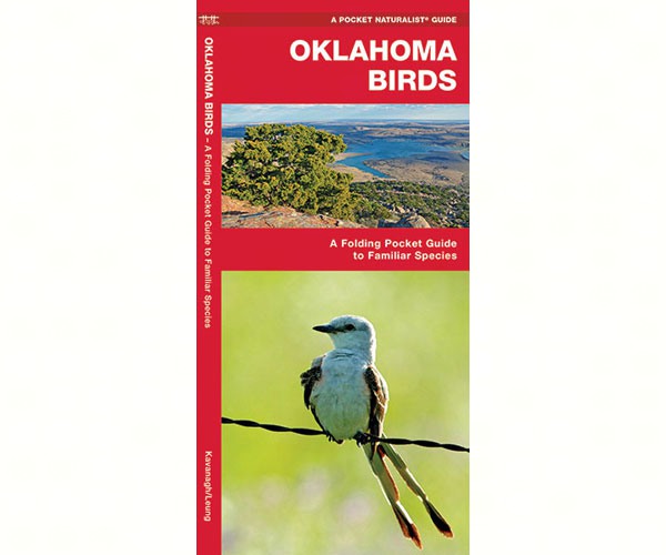 Oklahoma Birds by James Kavanagh