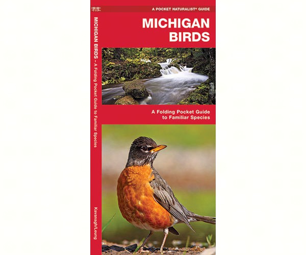 Michigan Birds by James Kavanagh