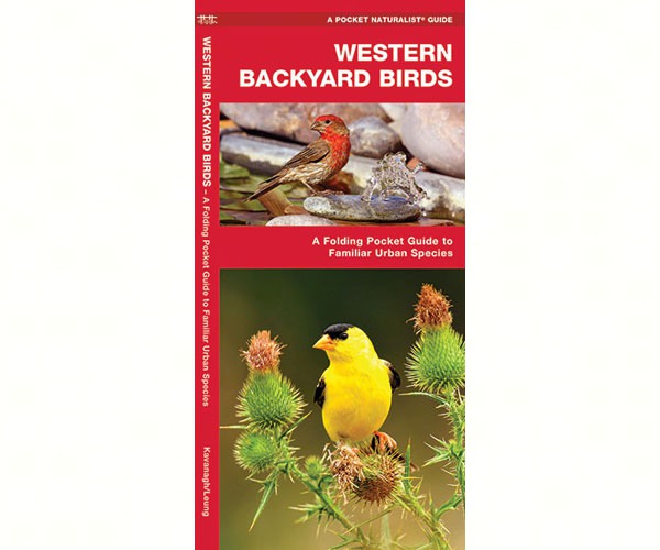 Western Backyard Birds by James Kavanagh