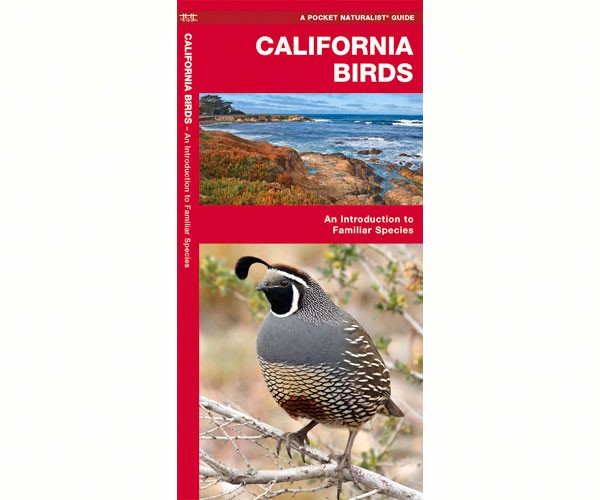 California Birds by James Kavanagh