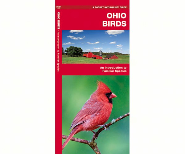 Ohio Birds by James Kavanagh