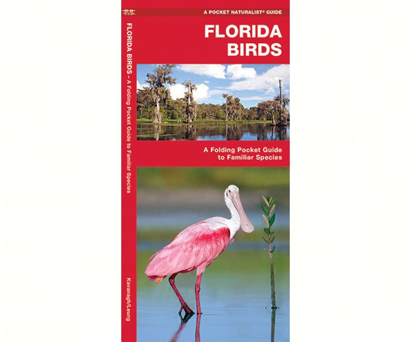 Florida Birds  by James Kavanagh